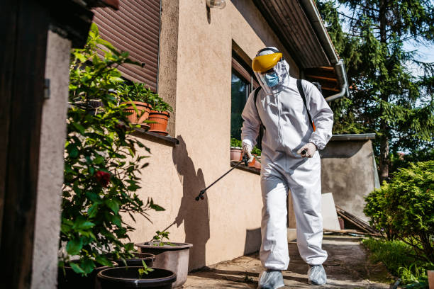 Best Best Pest Control Companies  in Greenwood, PA
