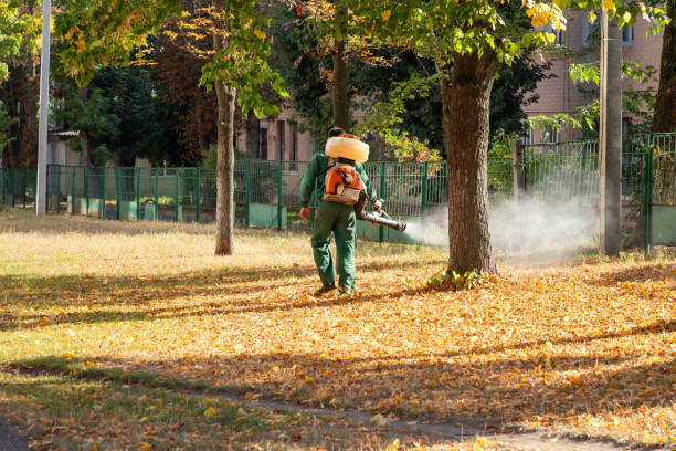 Wasp Removal Services in Greenwood, PA