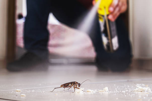 Best Affordable Pest Control Services  in Greenwood, PA
