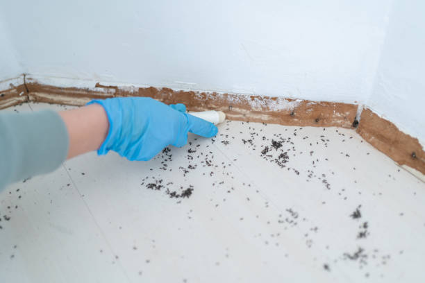 Best Wildlife Control Services  in Greenwood, PA